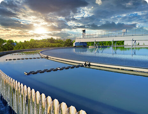 Lorem Ipsum is simply dummy text of the printing and typesetting industry.